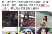 女网红黑历史爆料视频大全,视频大全背后的真相与反思