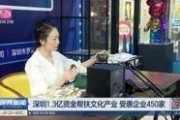 深圳小宋最新爆料新闻视频,最新新闻视频深度解析