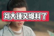 刘大锤爆料叶珂原视频,揭秘背后惊人内幕