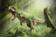 赣县恐龙化石爆料事件视频,揭秘史前生物之谜