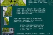 一本在线观看,跟随在线观看之旅，探索未知世界