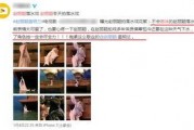 爆料杨姓艺人视频播放网站,网络平台播放量激增